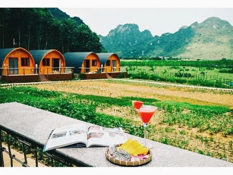 Đất nông nghiệp, đất rừng thành "khu du lịch trải nghiệm nông thôn - farmstay", có cần xây dựng khung pháp lý nhằm kiểm soát mô hình này?